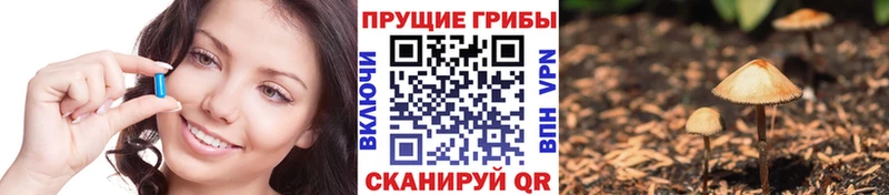 OMG как зайти  Нефтекамск  Псилоцибиновые грибы прущие грибы 